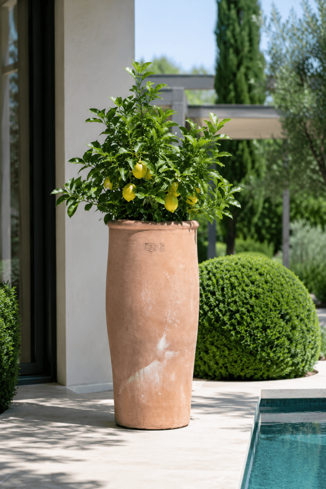 Preview: Vaso Primitivo Alto – Grand pot en terre cuite d’Impruneta